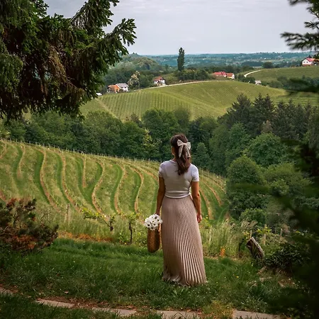 Dvorec Jeruzalem ホテル 4*