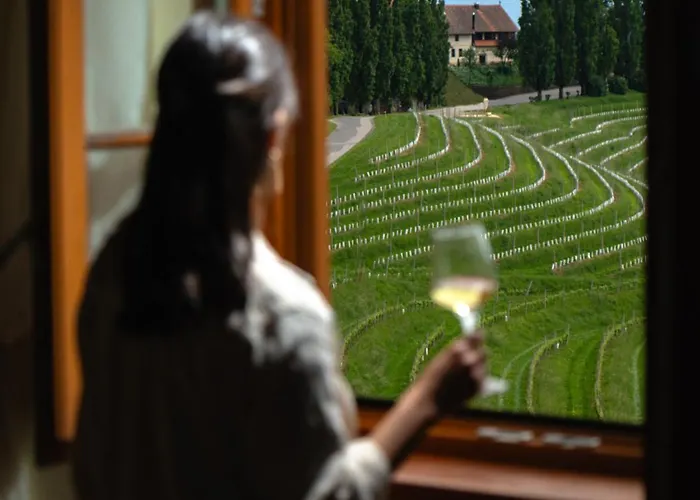 Dvorec Jeruzalem 酒店