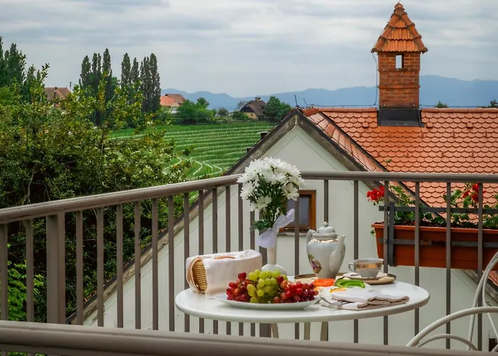 Dvorec Jeruzalem 酒店 Ivanjkovci