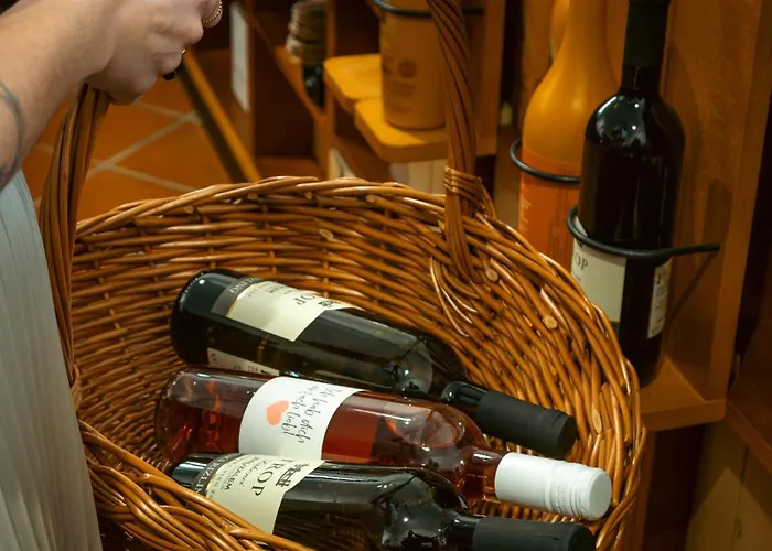 Dvorec Jeruzalem מלון