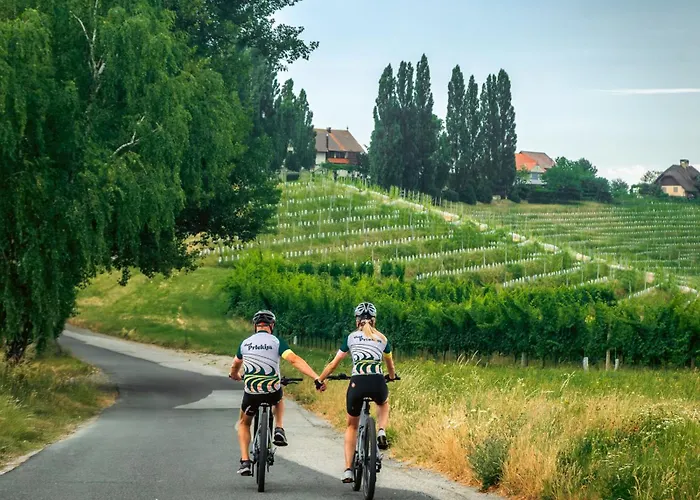 酒店 Dvorec Jeruzalem