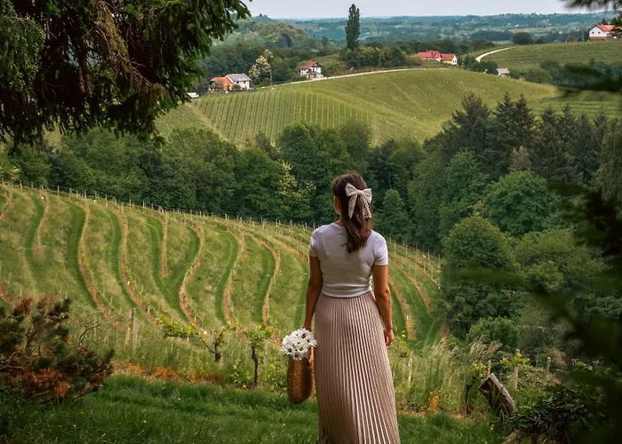 Dvorec Jeruzalem 酒店 4*